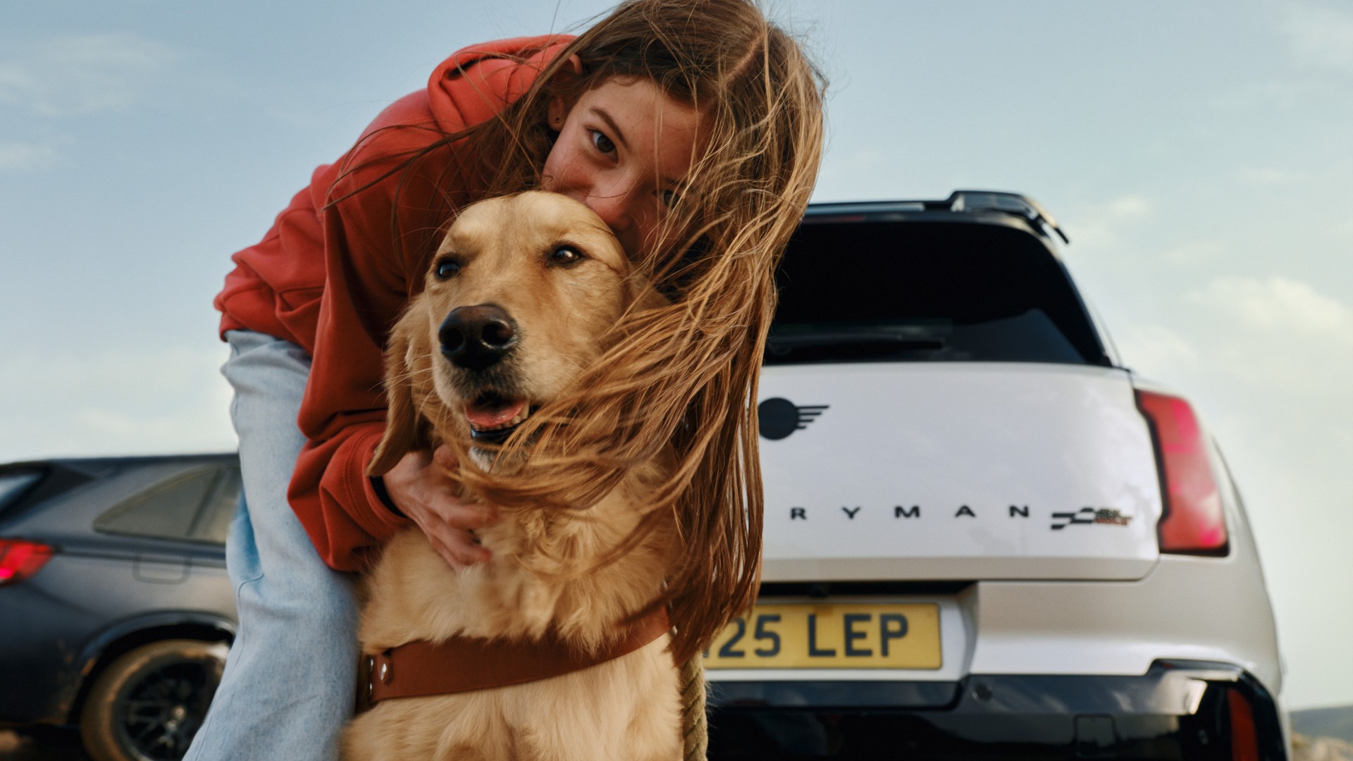 Tips Happy dogs travel